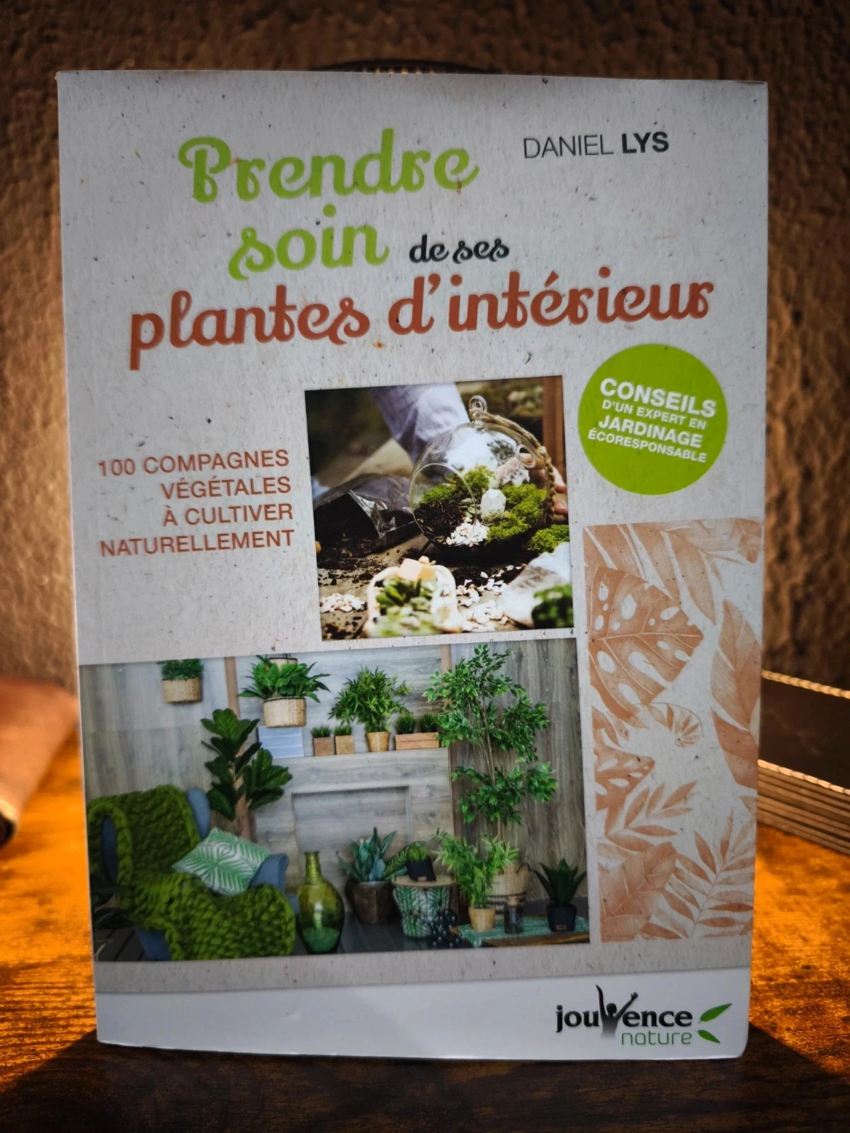 Prendre soin de ses plantes d'intérieur